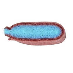 Bandeau anti transpiration frontal lavable - Pack de 2