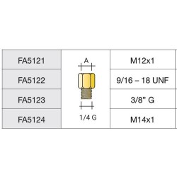 Réduction M1/4G - F12X1 en laiton